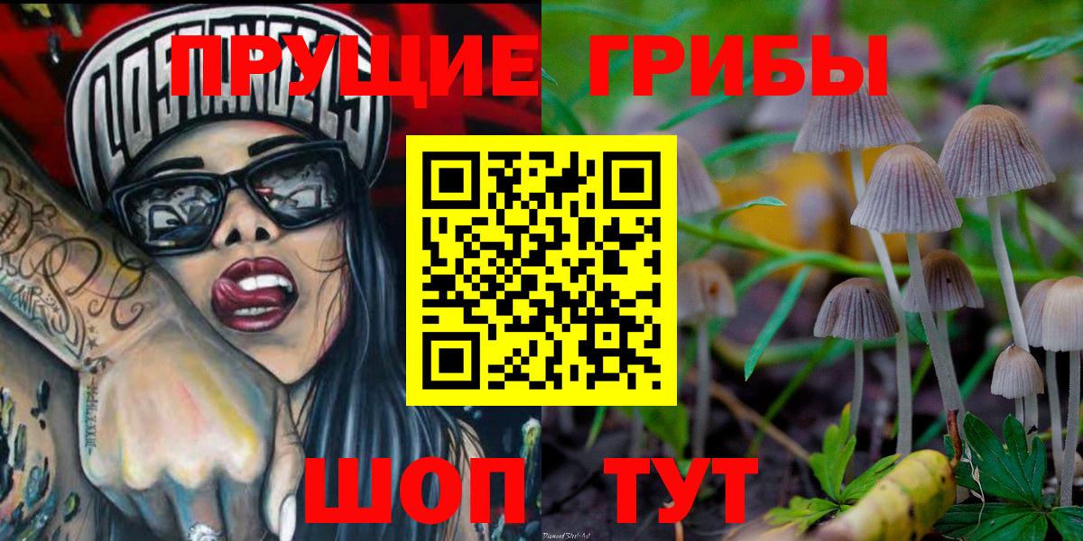 Горно-Алтайск  даркнет сайт  Псилоцибиновые грибы мухоморы  Вход с VPN  Псилоцибиновые грибы Psilocybine cubensis 