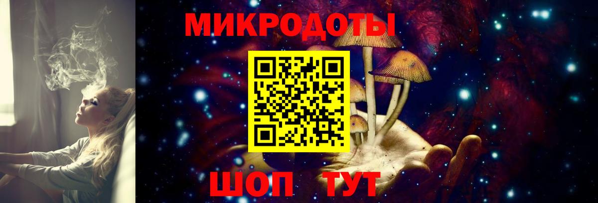 Псилоцибиновые грибы мицелий Горно-Алтайск